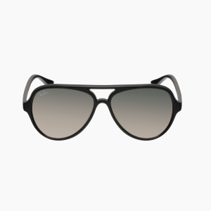 Ray Ban Cats